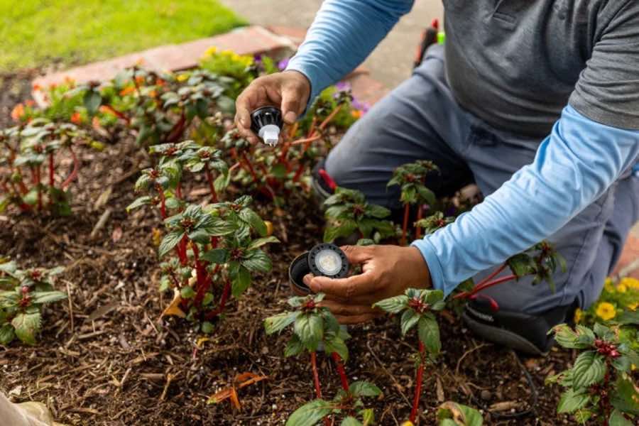 Outdoor Lighting Project near Carrollton