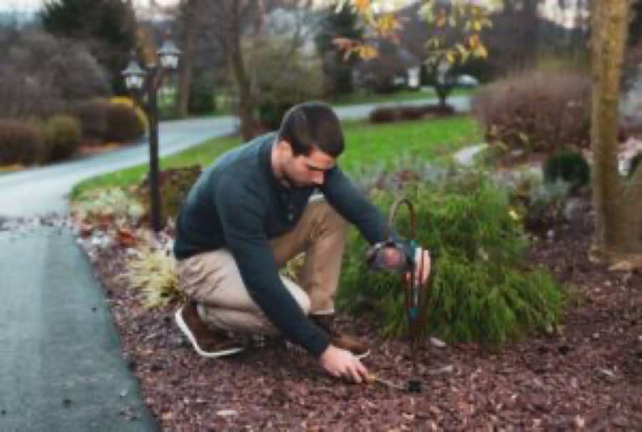 Landscape Illumination near Lewisville